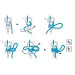 هشت فرود مربع پتزل - Image 3