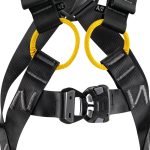 هارنس نیوتن پتزل - Image 2