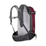 کوله 23 لیتری اسکیWEDZE مدل FR100 Defense - Image 3