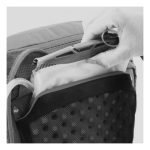 کوله پشتی آسپری مدل SKARAB 22L | کوهنوردی یک روزه - Image 7