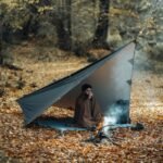 تارپ اسکای وارد دیلور